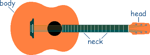 The neck's the long thin bit, the body's the big bit on the other end and the head's the small bit on one end
